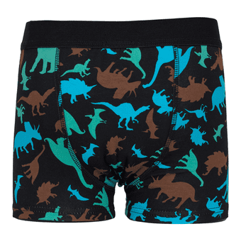 Incontinence Underwear Boys Dino - Image 2