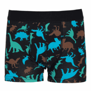 Incontinence Underwear Boys Dino